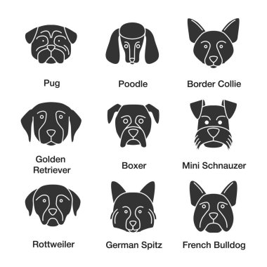 Köpekler doğurmak glif Icons set. Pug, fino köpeği, kenar kömür ocağı, Golden Retriever, boksör, minyatür Schnauzer, Fransız Bulldog Rottweiler, Alman Spitz. Siluet simgeler. İzole vektör illustratio