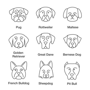 Köpekler doğurmak doğrusal Icons set. İnce çizgi kontur sembolleri. Pug, Rottweiler, Malta, Golden Retriever, Danua, Bernese köpek, koyun, Bulldog, çukur boğa. İzole vektör anahat çizimler