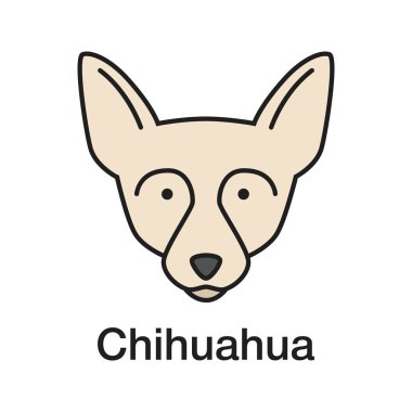 Chihuahua renk simgesi. Chi. oyuncak köpek doğurmak. İzole vektör çizim