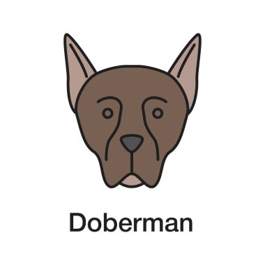 Doberman Pinscher renk simgesi. Koruyucu köpek doğurmak. İzole vektör çizim