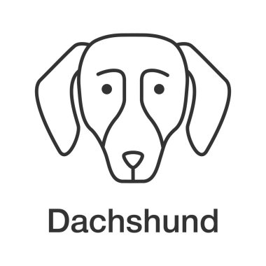 Dachshund doğrusal simgesi. İnce hat illüstrasyon. Hotdog. Tazı köpek doğurmak. Kontur sembolü. Çizim vektör izole anahat