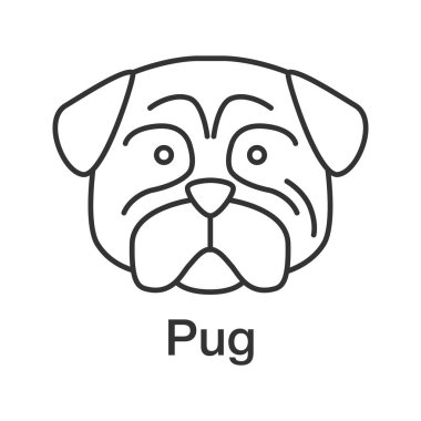 Pug doğrusal simgesi. İnce hat illüstrasyon. Paspas. Eşlik eden köpek doğurmak. Kontur sembolü. Çizim vektör izole anahat