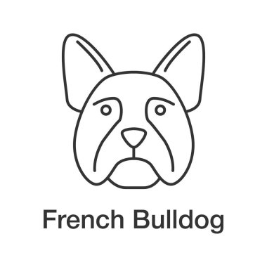 Fransız buldozer doğrusal simgesi. Frenchie. İnce hat illüstrasyon. Yardımcı programı'nı köpek doğurmak. Kontur sembolü. Çizim vektör izole anahat