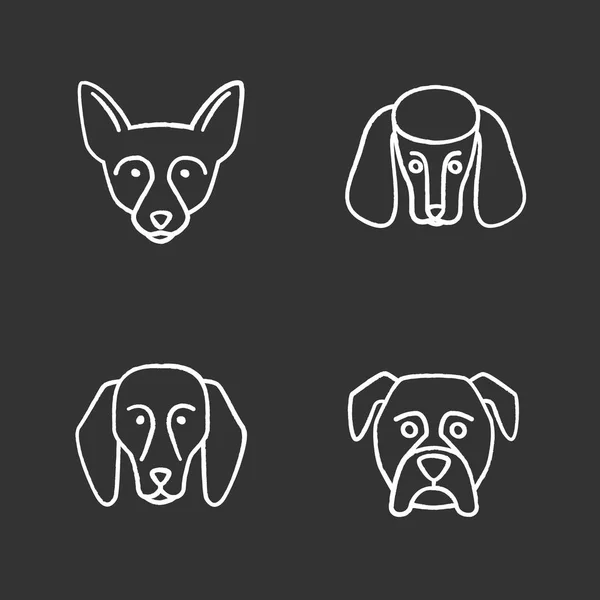 Perros Razas Tiza Iconos Conjunto Chihuahua Caniche Beagle Boxeador Ilustraciones — Vector de stock