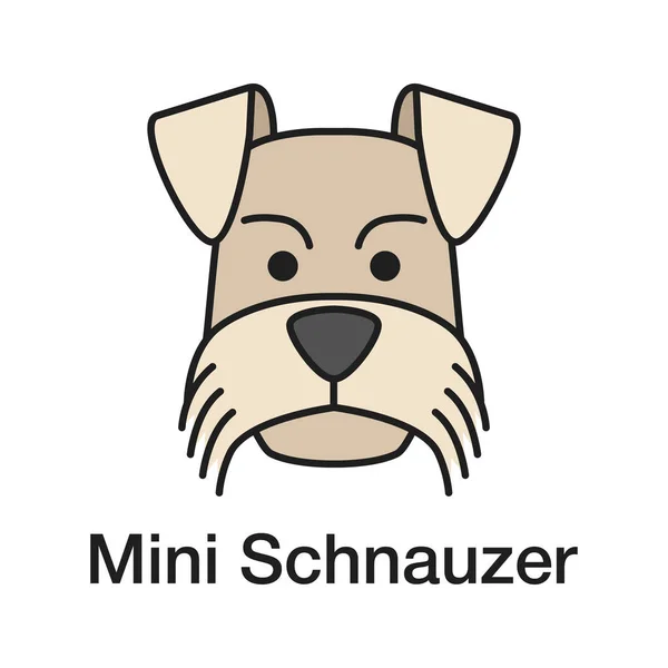 Icono Color Schnauzer Miniatura Zwergschnauzer Ilustración Vectorial Aislada — Archivo Imágenes Vectoriales