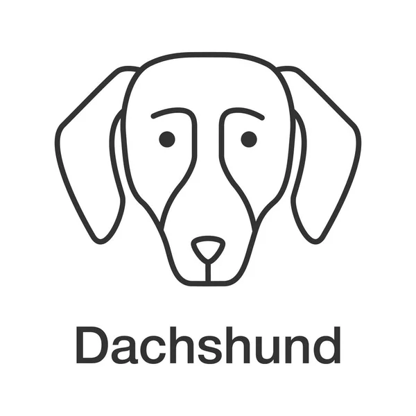 Icono Lineal Dachshund Ilustración Línea Delgada Perro Caliente Cría Perros — Archivo Imágenes Vectoriales