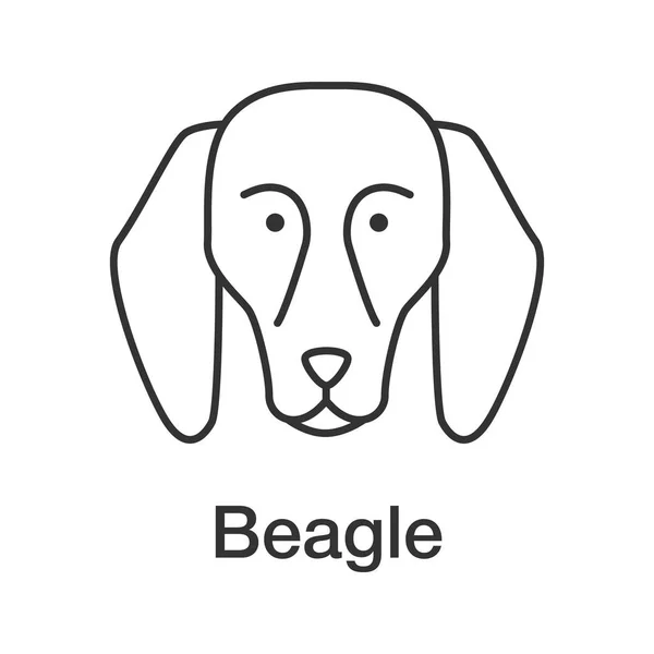 Icono Lineal Beagle Ilustración Línea Delgada Cría Perros Sabuesos Símbolo — Vector de stock