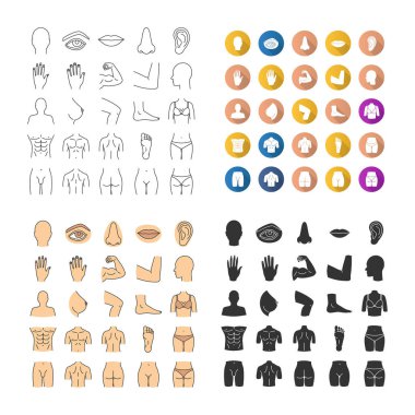 İnsan vücudu parçaları Icons set. Anatomi. Sağlık. Doğrusal, düz tasarım, renk ve simge stilleri. izole vektör çizimler