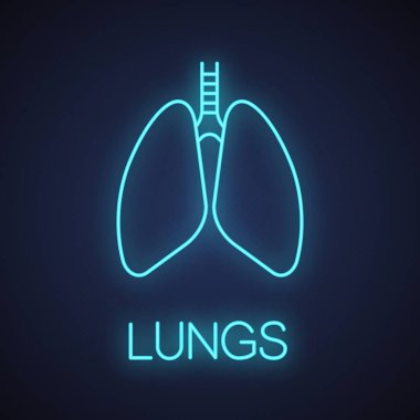 İnsan akciğer bronşlar ve bronchioles neon ışığı simgesi olan. Solunum sistemi anatomisi. İşareti parlayan. İzole vektör çizim