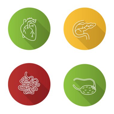 İç organları düz doğrusal uzun gölge Icons set. Kalp, pankreas ve oniki parmak bağırsağı, ince bağırsak, yumurtalık ve fallop tüpü. Vektör anahat çizim
