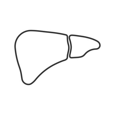 Karaciğer doğrusal simgesi. İnce hat illüstrasyon. Sindirim bezi. Kontur sembolü. Çizim vektör izole anahat