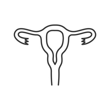Uterus, fallop tüpleri ve vajina doğrusal simgesi. İnce hat illüstrasyon. Kadın üreme sistemi. Kontur sembolü. Çizim vektör izole anahat