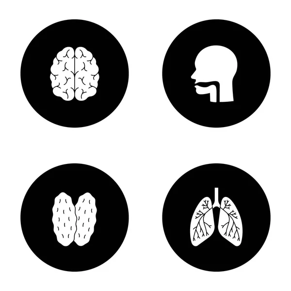 Inwendige Organen Glyph Iconen Set Hersenen Mondholte Zwezerik Longen Bronchiën — Stockvector