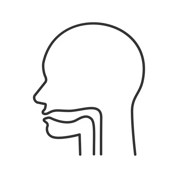 Cavidad Oral Faringe Ícono Lineal Del Esófago Ilustración Línea Delgada — Archivo Imágenes Vectoriales