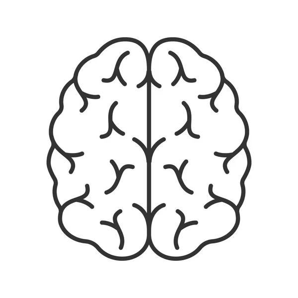 Icono Lineal Del Cerebro Humano Ilustración Línea Delgada Órgano Del — Vector de stock