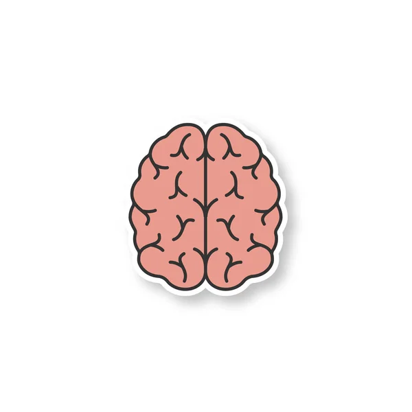 Patch Cerebral Humano Etiqueta Colorida Órgão Sistema Nervoso Ilustração Isolada — Vetor de Stock