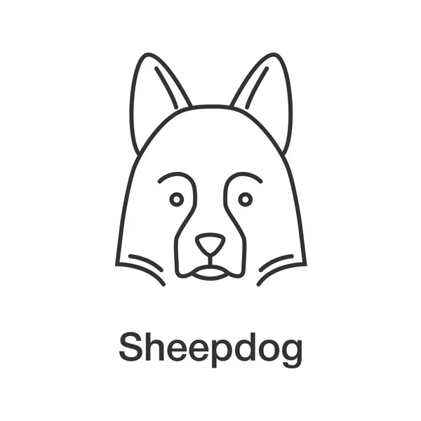 Shetland Sheepdog Lineare Ikone Schmalspur Illustration Hütehund Kontursymbol Vektor Isolierte — Stockvektor