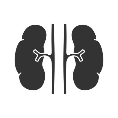 İnsan böbrekler glif simgesi. Üriner sistem. Siluet simge. Negatif alan. İzole vektör çizim