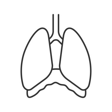Göğüs boşluğuna doğrusal simgesi. Diyafram. İnce hat illüstrasyon. İnsan akciğer. Kontur sembolü. Çizim vektör izole anahat