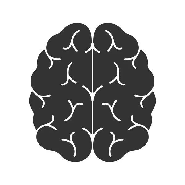 人間の脳のグリフ アイコン 神経系の器官 シルエットのシンボル 否定的なスペース 分離したベクトル図 — ストックベクタ