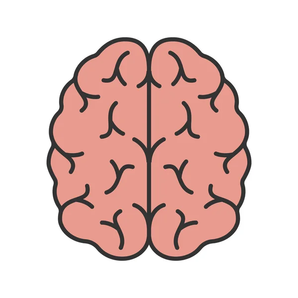 Icono Color Del Cerebro Humano Órgano Del Sistema Nervioso Ilustración — Archivo Imágenes Vectoriales