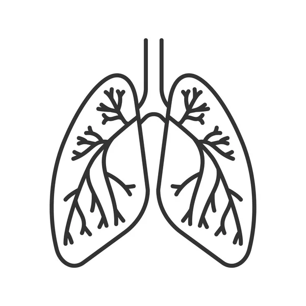 Poumons Humains Avec Bronches Bronchioles Icône Linéaire Illustration Fine Anatomie — Image vectorielle