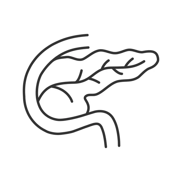 Линейная Икона Поджелудочной Железы Двенадцатиперстной Кишки Тонкая Линия Иллюстрации Пищеварительная — стоковый вектор