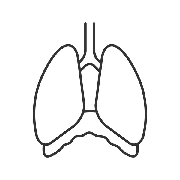 Icona Lineare Della Cavità Toracica Diaframma Illustrazione Linea Sottile Polmoni — Vettoriale Stock