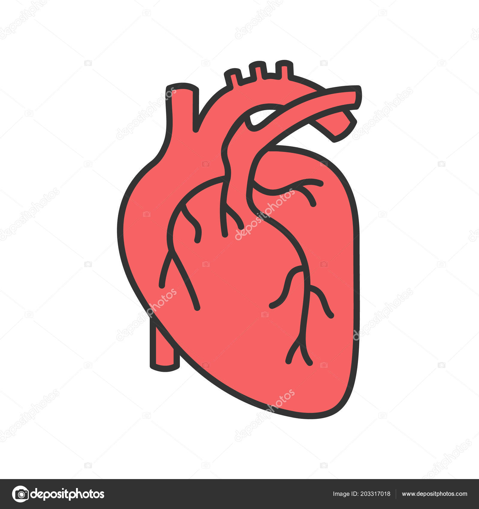 인간의 해부학 아이콘입니다 일러스트 스톡 벡터 - ©bsd_studio 203317018, image size:1600x1700