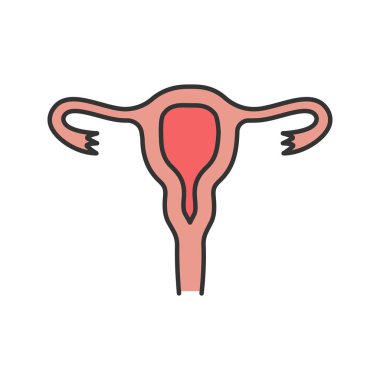 Uterus, fallop tüpleri ve vajina renk simgesi. Kadın üreme sistemi. İzole vektör çizim