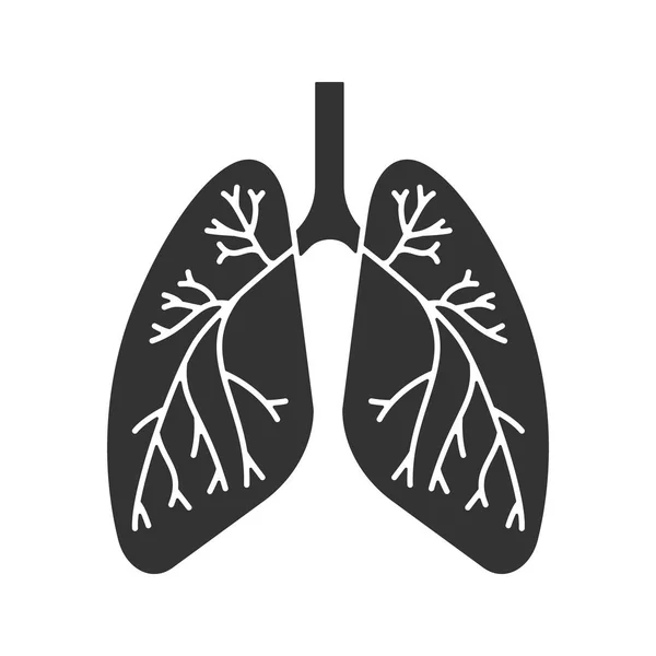 Human Lungs Bronchi Bronchioles Glyph Icon Respiratory System Anatomy Silhouette — Stock Vector