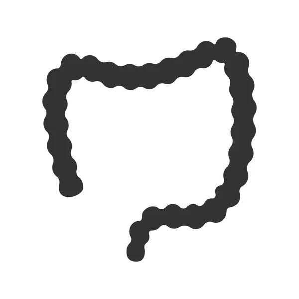 Icône Glyphe Gros Intestin Gros Intestin Tractus Gastro Intestinal Symbole — Image vectorielle