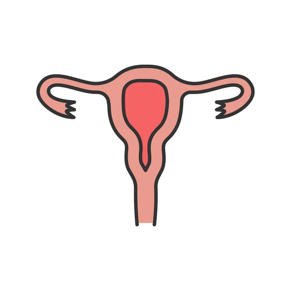 Gebärmutter Eileiter Und Vagina Farbsymbol Weibliches Fortpflanzungssystem Isolierte Vektorabbildung — Stockvektor