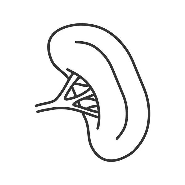 Линейная Иконка Селезенки Человека Тонкая Линия Иллюстрации Орган Лимфатической Системы — стоковый вектор