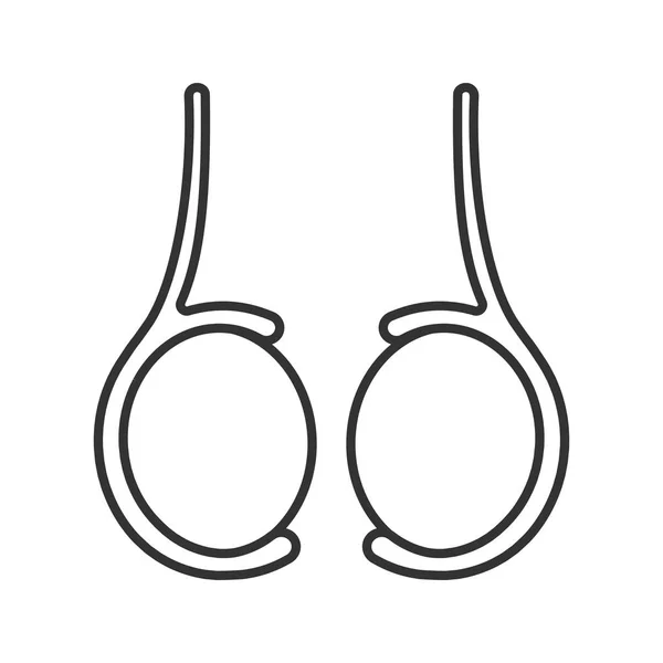 anatomy Vector Art Stock Images Depositphotos