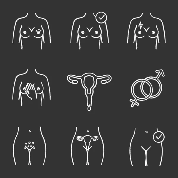 Kadın Hastalıkları Tebeşir Icons Set Zole Vektör Kara Tahta Çizimler — Stok Vektör
