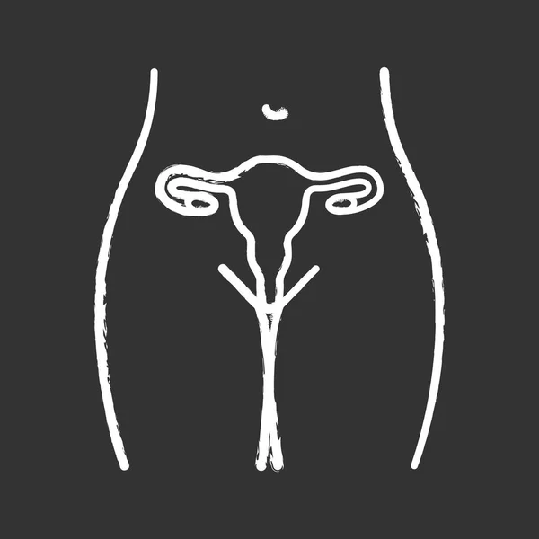 Vrouwelijke Voortplantingsstelsel Krijt Pictogram Baarmoeder Eileiders Vagina Gezondheid Van Vrouwen — Stockvector