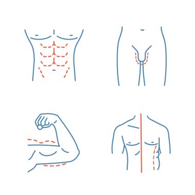 Plastic surgery color icons set. Male body contouring, penis enlargement, arm lift surgery, men coolsculpting. Isolated vector illustrations