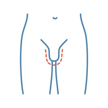 Penis enlargement surgery color icon. Penile augmentation. Plastic surgery for men. Male genital rejuvenation. Isolated vector illustration