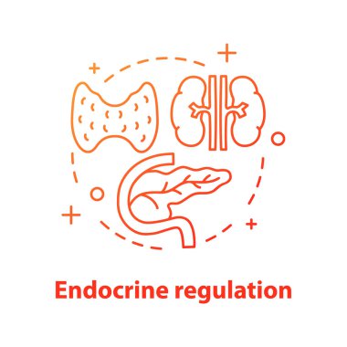 Endocrine regulation concept icon vector illustration clipart