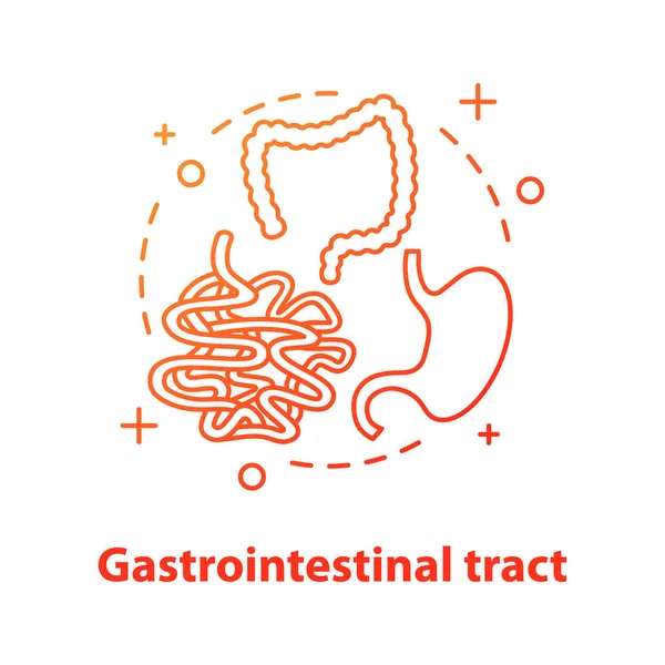 Gastrointestinal Tract Concept Icon Vector Illustration — Stock Vector