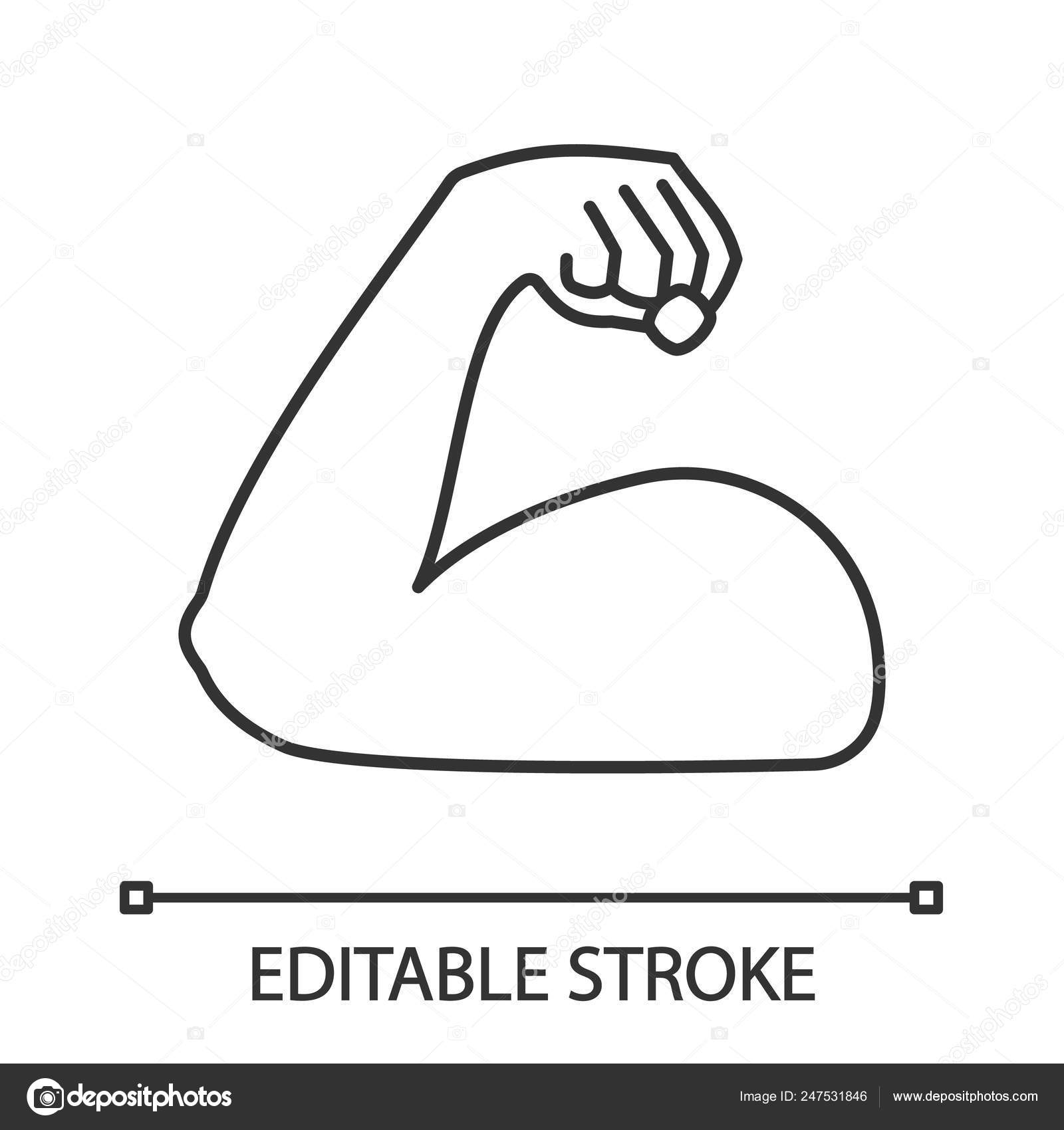 Behajlított Bicep Lineáris Ikonra Vékony Vonal Szemlélteti Erős Emoji Izom  Stock Vektor: ©bsd_studio 247531846