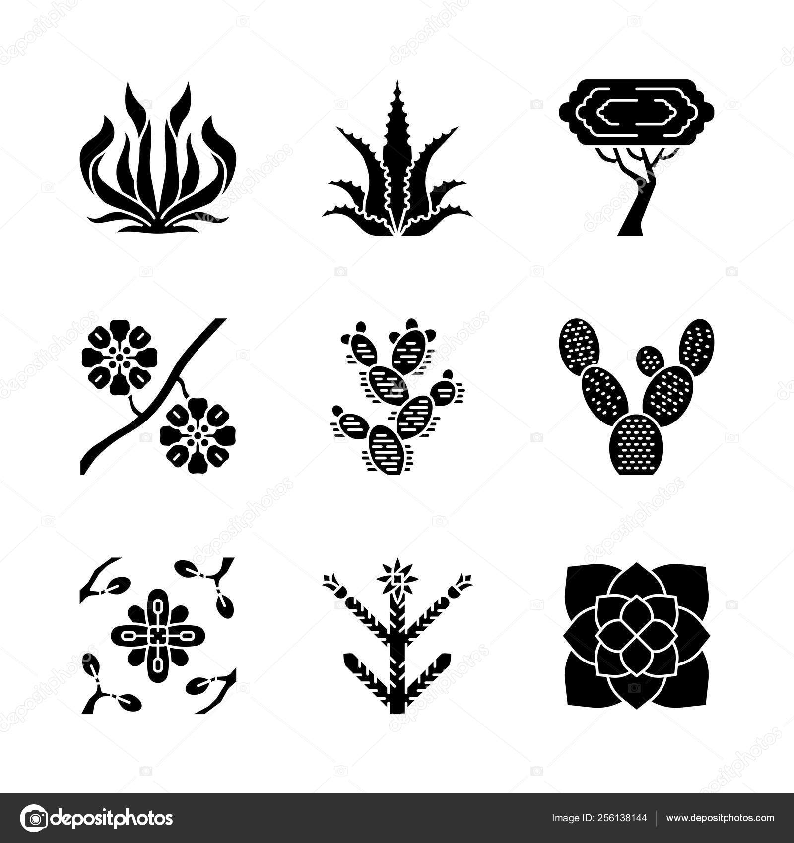 砂漠の植物グリフアイコンが設定します エキゾチックな植物 アメリカの多肉植物と干ばつ耐性植物 Larrea パロヴェルデツリー アロエベラ アガベ シルエットシンボル ベクトル分離イラスト ストックベクター C Bsd 砂漠の植物グリフアイコンが設定します エキゾチックな植物 アメリカの多肉植物と干ばつ耐性植物 Larrea パロヴェルデツリー アロエベラ アガベ シルエットシンボル ベクトル分離イラスト ストックベクター C Bsd