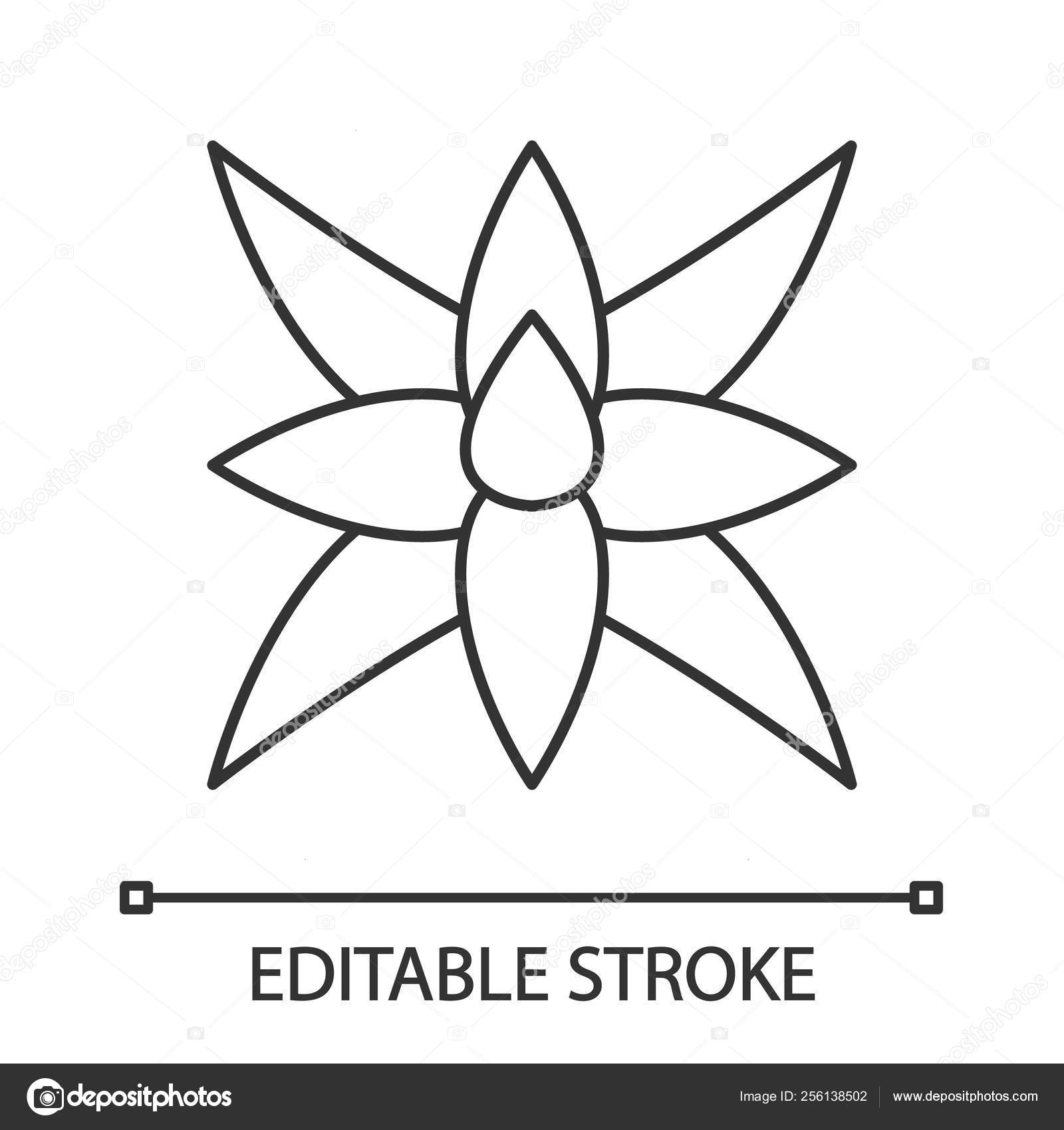 Fox Tail Agave Linear Icon South America Desert Plant Agave Vector Image By C Bsd Vector Stock Fox Tail Agave Linear Icon South America Desert Plant Agave Vector Image By C Bsd Vector Stock