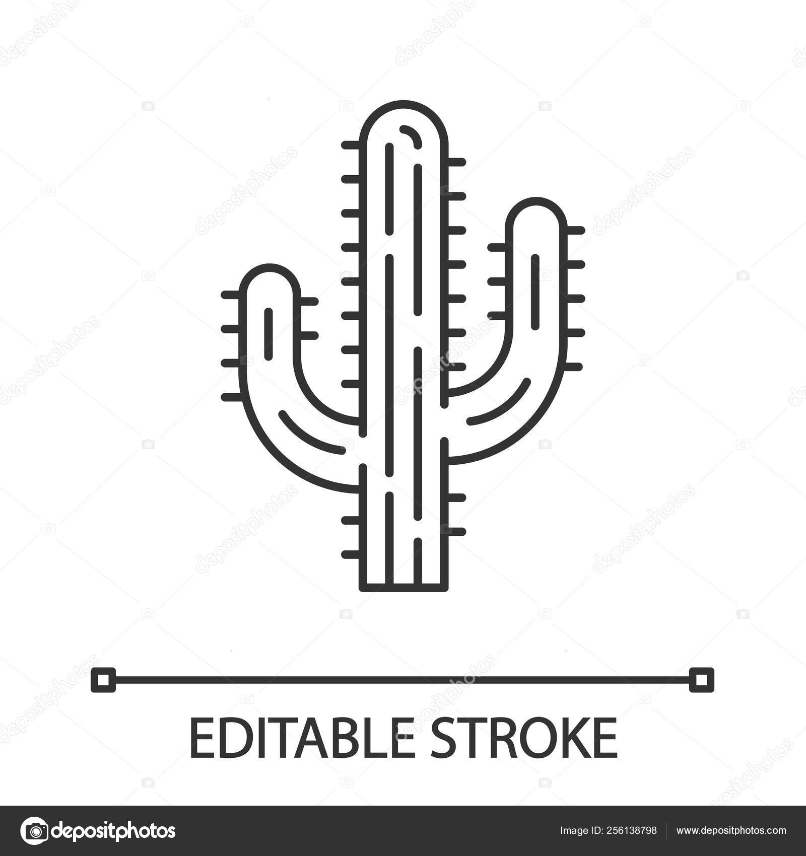 Saguaro cactus drawing Stockvektoren, lizenzfreie Illustrationen ...