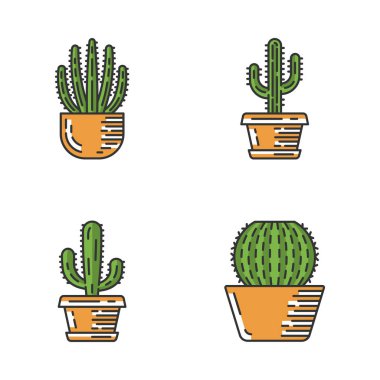 Pot renk simgeleri ev kaktüs ayarlayın. Meksika tropikal Flora. Organ boru kaktüs, saguaro, Meksika devi, varil ev. İzole vektör illüstrasyonları