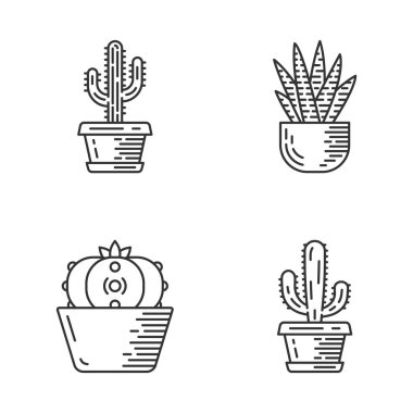 Pot doğrusal simgeler ev kaktüs ayarlayın. Etli. Zebra kaktüs, peyote, Meksikalı dev, Saguaro. Cacti Bahçe koleksiyonu. İnce çizgi kontur sembolleri. İzole vektör anahat illüstrasyonları. Düzenlenebilir strok