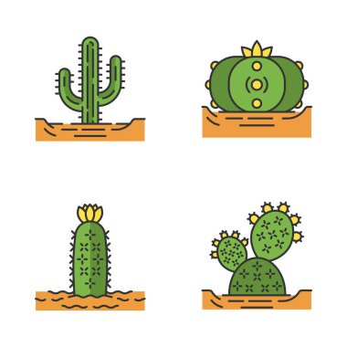 Zemin renk simgeleri vahşi kaktüsler ayarlayın. Dikenli bitkiler. Yeşil succulents. Saguaro, dikenli armut, peyote, kirpi kaktüs. İzole vektör illüstrasyonları
