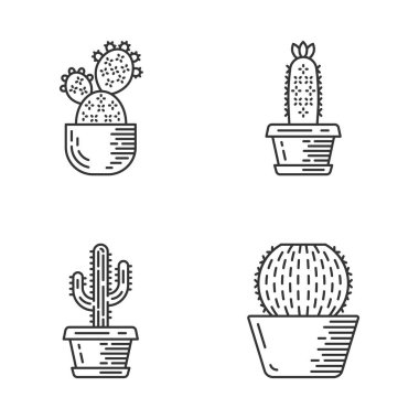 Pot doğrusal simgeler ev kaktüsü ayarlayın. Sulu meyveler. Cacti koleksiyonu. Prickly armut, kirpi kaktüs, saguaro, varil kaktüs. İnce çizgi kontur sembolleri. İzole vektör anahat simgeleri. Düzenlenebilir kontur