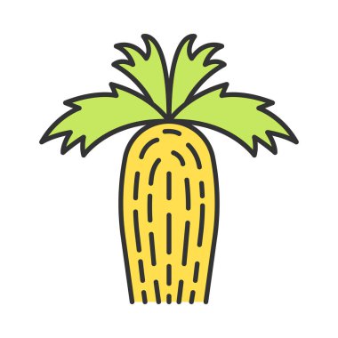 California fan palmiye renk simgesi. Washingtonia filifera. Çöl ağacı. Bize egzotik bitki. İzole vektör illüstrasyon
